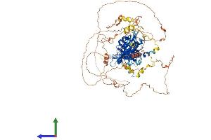 AlphaFold protein structure predicition of Mouse Recombinant Hif1a Protein, UniprotID Q61221