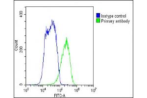 Flow Cytometry (FACS) image for anti-Solute Carrier Family 10 (Sodium/bile Acid Cotransporter Family), Member 1 (SLC10A1) (AA 316-343) antibody (ABIN651897)