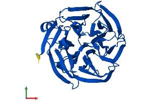 AlphaFold protein structure predicition of Human Recombinant RGN Protein, UniprotID Q15493