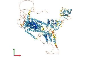Protein Structure (PS) image for Patched Domain Containing 2 (PTCHD2) (AA 1-1392) protein (His tag) (ABIN7553668)