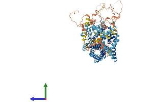 Protein Structure (PS) image for Solute Carrier Family 9, Subfamily A (NHE1, Cation Proton Antiporter 1), Member 1 (SLC9A1) (AA 1-820) protein (His tag) (ABIN7563904)