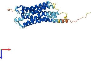 TBXA2R Protein (AA 1-341) (His tag)