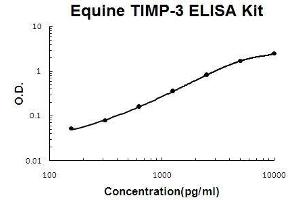 Horse equine TIMP-3 PicoKine ELISA Kit standard curve (TIMP3 ELISA 试剂盒)