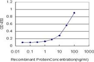 Detection limit for recombinant GST tagged HMBS is approximately 1ng/ml as a capture antibody. (HMBS 抗体  (AA 1-361))