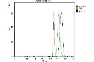 anti-Tetratricopeptide Repeat Domain 7B (TTC7B) (AA 275-730) antibody
