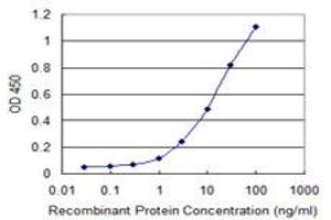 Detection limit for recombinant GST tagged IL1F7 is 0. (IL-37 抗体  (AA 1-218))