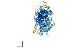 Protein Structure (PS) image for Fanconi Anemia, Complementation Group C (FANCC) (AA 1-558) protein (His tag) (ABIN7547668)