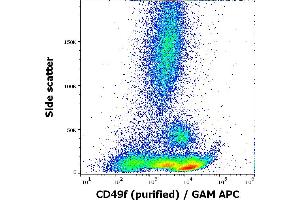 Flow cytometry surface staining pattern of human peripheral whole blood stained using anti-human CD49f (GoH3) purified antibody (concentration in sample 1,7 μg/mL, GAM APC). (ITGA6 抗体)