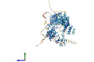 AlphaFold protein structure predicition of Human Recombinant EXD3 Protein, UniprotID Q8N9H8 (EXD3 Protein (AA 1-876) (His tag))