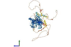 Protein Structure (PS) image for Rhomboid 5 Homolog 2 (RHBDF2) (AA 1-827) protein (His tag) (ABIN7564282)