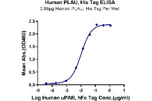 ELISA image for Plasminogen Activator, Urokinase (PLAU) (AA 21-431) protein (His tag) (ABIN7275455)