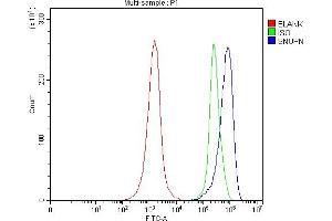 Flow Cytometry analysis of JK cells using anti-SNURPORTIN1/SNUPN antibody (ABIN7599310).