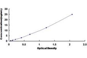 Typical standard curve (ORM1 ELISA 试剂盒)