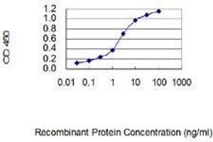 ELISA image for anti-C-Type Lectin-Like 1 (CLECL1) (AA 82-167) antibody (ABIN1989545)