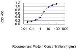 Detection limit for recombinant GST tagged CLECL1 is 0. (CLECL1 抗体  (AA 82-167))