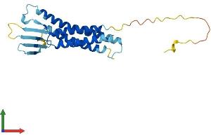 Protein Structure (PS) image for Claudin 3 (CLDN3) (AA 1-219) protein (His tag) (ABIN7556346)