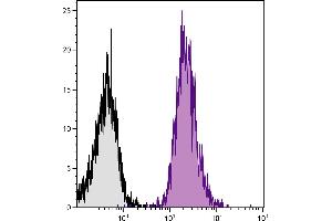 Human peripheral blood platelets were stained with Mouse Anti-Human CD42b-APC. (CD42b 抗体  (APC))