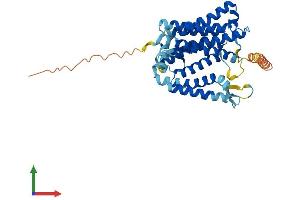 Protein Structure (PS) image for Histocompatibility 13 (H13) (AA 1-378) protein (His tag) (ABIN7561137)