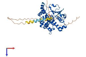 PTGES2 Protein (AA 1-384) (His tag)