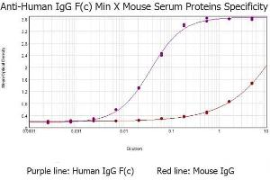 ELISA results of purified Goat anti-Human IgG F(c) antibody (min x Mouse serum proteins) tested against purified Human IgG F(c) . (山羊 anti-人 IgG (Fc Region) Antibody - Preadsorbed)