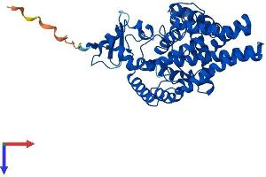 FADS1 Protein (AA 1-447) (His tag)
