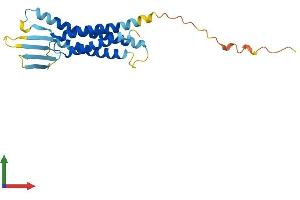 Protein Structure (PS) image for Claudin 17 (CLDN17) (AA 1-224) protein (His tag) (ABIN7553391)