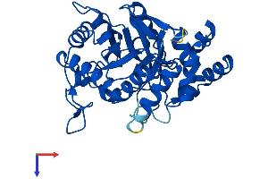 AlphaFold protein structure predicition of Mouse Recombinant Akr1c18 Protein, UniprotID Q8K023