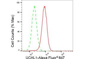 Flow cytometric analysis of UCHL1 expression in HAP-1 cells using UCHL1 antibody (ABIN7800707), 1:2,000). (Recombinant UCHL1 抗体)