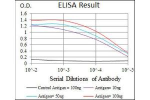 ELISA image for anti-Heat Shock Transcription Factor 4 (HSF4) antibody (ABIN1843863)