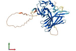 AlphaFold protein structure predicition of Mouse Recombinant Poldip2 Protein, UniprotID Q91VA6