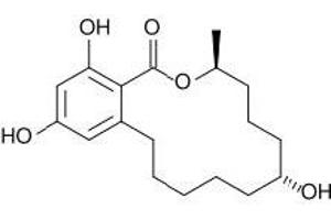 Antigen structure: Zearalenone (ZON) (Zearalenone 抗体)
