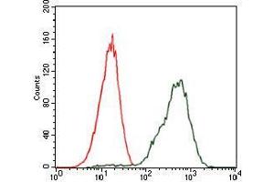 Flow cytometric analysis of Jurkat cells using PDX1 mouse mAb (green) and negative control (red). (PDX1 抗体)