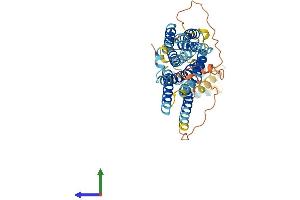 Protein Structure (PS) image for Solute Carrier Family 39 (Zinc Transporter), Member 8 (SLC39A8) (AA 1-460) protein (His tag) (ABIN7551650)