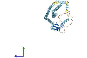 Protein Structure (PS) image for Ring Finger Protein 26 (RNF26) (AA 1-433) protein (His tag) (ABIN7551472)