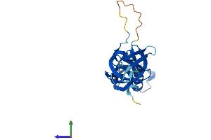 Protein Structure (PS) image for Polymerase (RNA) III (DNA Directed) Polypeptide H (22.9kD) (POLR3H) (AA 1-204) protein (His tag) (ABIN7551544)