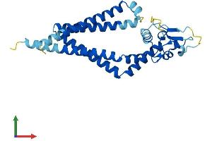 Protein Structure (PS) image for CD82 (CD82) (AA 1-266) protein (His tag) (ABIN7563212)