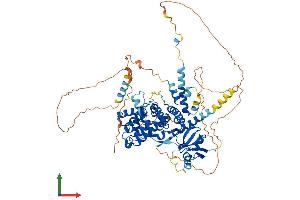 Protein Structure (PS) image for rho GTPase Activating Protein 28 (ARHGAP28) (AA 1-729) protein (His tag) (ABIN7558780)
