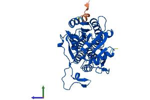 Protein Structure (PS) image for Methylthioribose-1-Phosphate Isomerase 1 (Mri1) (AA 1-369) protein (His tag) (ABIN7549581)