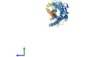 Protein Structure (PS) image for Chemokine (C-X-C Motif) Receptor 5 (CXCR5) (AA 1-372) protein (His tag) (ABIN7546855)