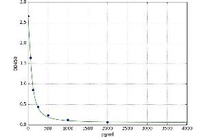 Orexin A (OXA) ELISA Kit