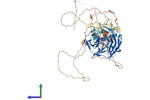 Protein Structure (PS) image for F-Box Protein 42 (FBXO42) (AA 1-717) protein (His tag) (ABIN7547533)
