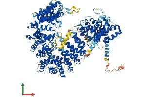 AlphaFold protein structure predicition of Human Recombinant IPO7 Protein, UniprotID O95373
