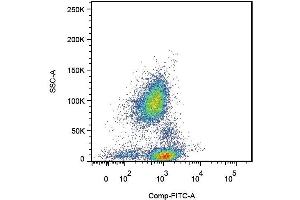 Surface staining of human peripheral blood cells with anti-human CD162 (clone TC2). (SELPLG 抗体  (PE))