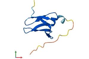 AlphaFold protein structure predicition of Human Recombinant DPH3 Protein, UniprotID Q96FX2