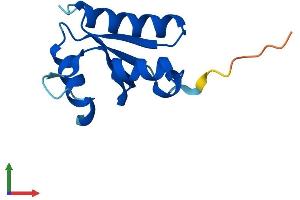 Protein Structure (PS) image for SH3 Domain Binding Glutamic Acid-Rich Protein Like 2 (SH3BGRL2) (AA 1-107) protein (His tag) (ABIN7546020)