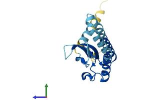 AlphaFold protein structure predicition of Mouse Recombinant Chic2 Protein, UniprotID Q9D9G3