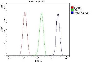 Flow Cytometry analysis of HeLa cells using anti-PHF21A antibody (ABIN6719353). (PHF21A 抗体  (AA 1-97))