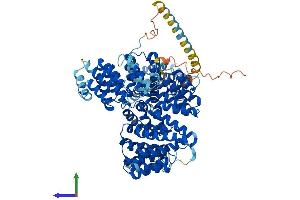 Protein Structure (PS) image for N(alpha)-Acetyltransferase 16, NatA Auxiliary Subunit (NAA16) (AA 1-864) protein (His tag) (ABIN7561271)