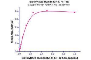 Immobilized Human IGFBP-3, His Tag (Cat# IG3-H5229) at 5 μg/mL (100 μl/well) can bind Biotinylated Human IGF-II, Fc Tag (Cat# IG2-H82F9) with a linear range of 0. (IGF2 Protein (AA 25-91) (AVI tag,Fc Tag,Biotin))