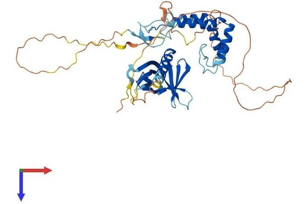 SPRED2 Protein (AA 1-418) (His tag)